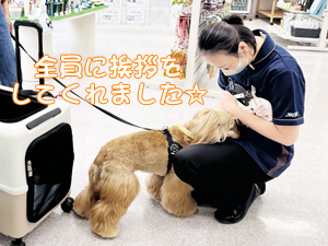 モデル犬の里帰り☆～カルメちゃん～